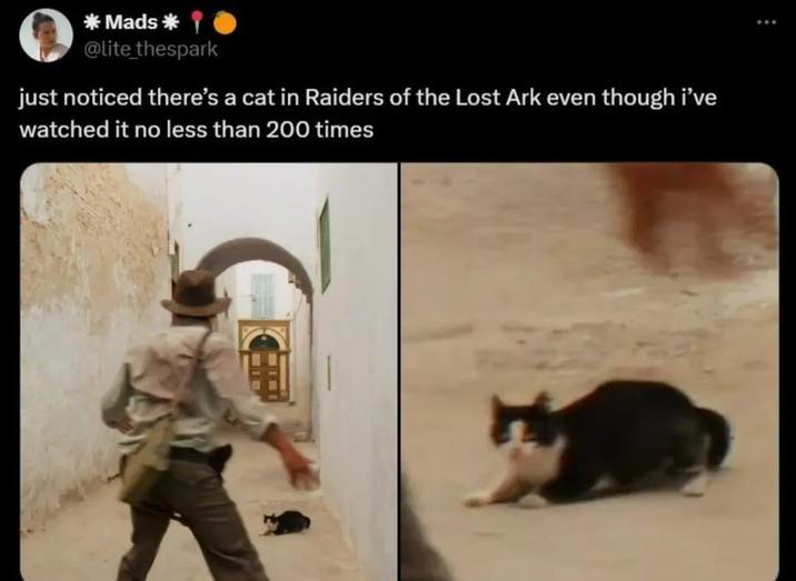 * Mads * @lite_thespark just noticed there's a cat in Raiders of the Lost Ark even though i've watched it no less than 200 times