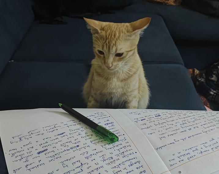 netical example, reflect and note providing a good feedback and your team members, as a As effectively communicate with my team members, following Sy and entire that all team members feel yooning a brainstorming sexion, when www the biggesting bric ideal, I'd wet kiken and make fire they know make Pm Paphnung & aling dartying questions. regale de opportunity to thin acat on the tha dress more changes in badg Paide real feedback unrealistic things, if we prom feedback, it communication a сам be implemented faced on buckytary constraints giving feedback on beir entwich, 1009 conne Your F5 by research. by. a stu Boude appreciation. andwich technique — pliment •Provide feedback app and 80 after. Eg loved theories we learnt ۱۲ you had by to asticulated feedback of what weit how you > bit more P if would have been great. But overall, delivery had a can Great tone feedback - Rather than only giving be improved, compliment to win force. what