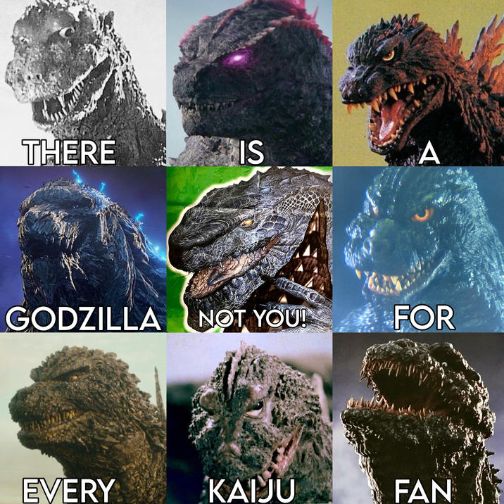 THERE IS A GODZILLA NOT YOU! FOR EVERY KAIJU FAN
