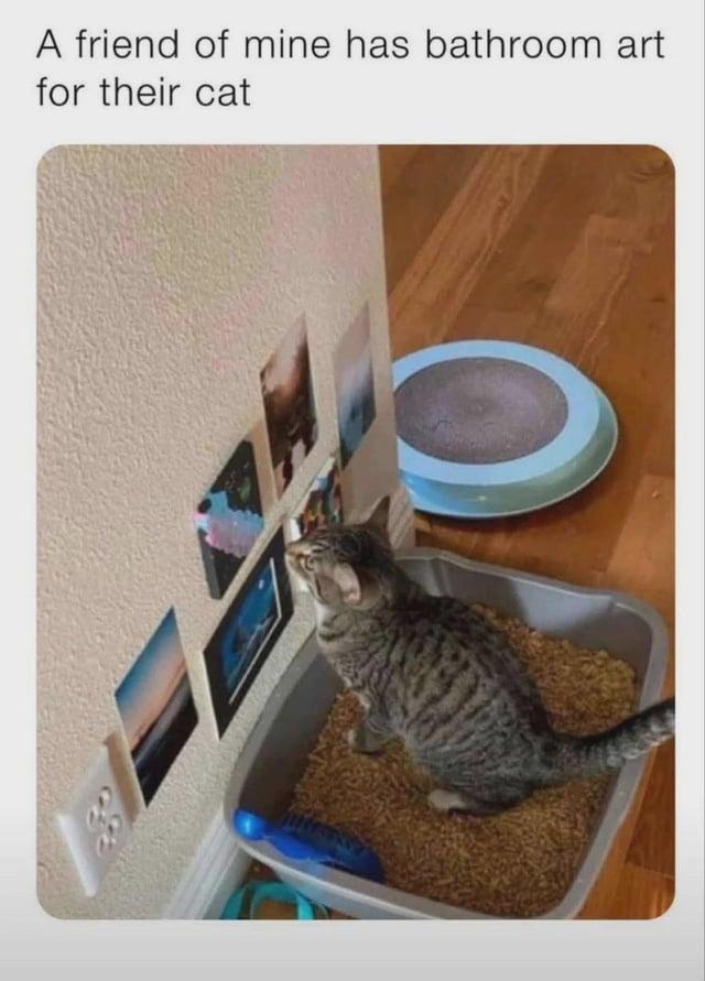 A friend of mine has bathroom art for their cat