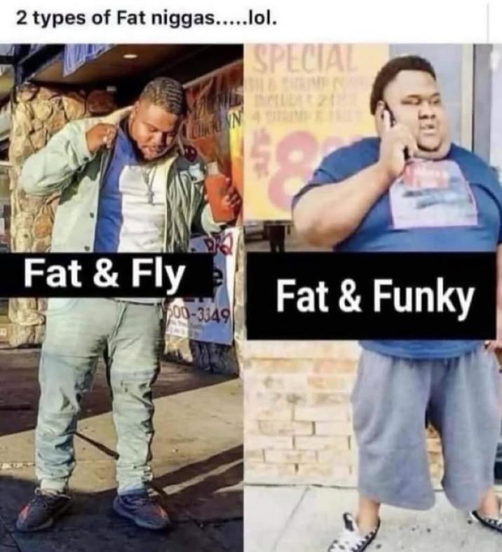 2 types of Fat n-----.....lol. SPECIAL MALHILL BLUDE 321 TOKKINN 4 TROMPET Fat & Fly Fat & Funky 00-3349