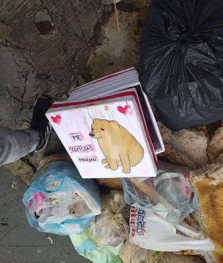 ME GUMSTAS MUCHO PrTaciones