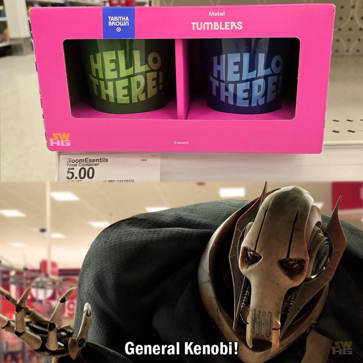 SW TABITHA BROWN HELLO THERE! Metal TUMBLERS HELLO RoomEsentils Food Container 5.00 0.00 5309 12090 2 count General Kenobi! EW