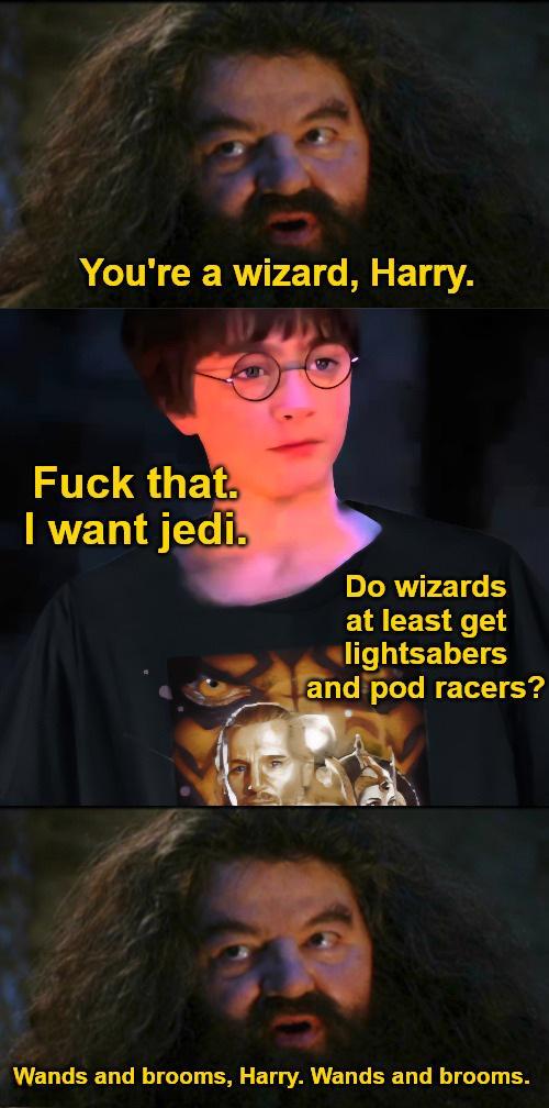 You're a wizard, Harry. F--- that. I want jedi. Do wizards at least get lightsabers and pod racers? Wands and brooms, Harry. Wands and brooms.