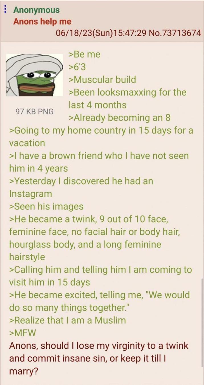 : Anonymous Anons help me 97 KB PNG 06/18/23(Sun)15:47:29 No.73713674 >Be me >6'3 >Muscular build >Been looksmaxxing for the last 4 months >Already becoming an 8 >Going to my home country in 15 days for a vacation >I have a brown friend who I have not seen him in 4 years >Yesterday I discovered he had an Instagram >Seen his images >He became a twink, 9 out of 10 face, feminine face, no facial hair or body hair, hourglass body, and a long feminine hairstyle >Calling him and telling him I am coming to visit him in 15 days >He became excited, telling me, "We would do so many things together." >Realize that I am a Muslim >MFW Anons, should I lose my virginity to a twink and commit insane sin, or keep it till I marry?