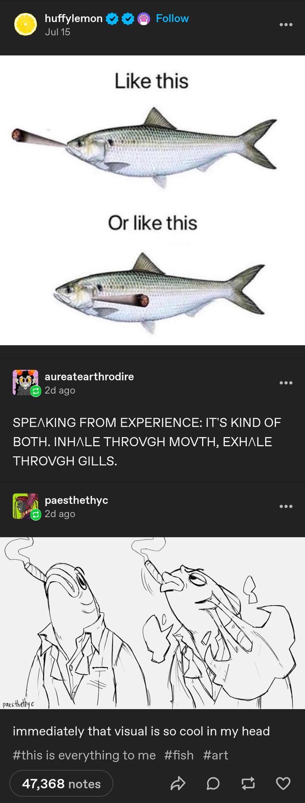 huffylemon Jul 15 Follow Like this Or like this aureatearthrodire 2d ago SPEAKING FROM EXPERIENCE: IT'S KIND OF BOTH. INHALE THROVGH MOVTH, EXHALE THROVGH GILLS. paesthethyc 2d ago paesthethy c immediately that visual is so cool in my head #this is everything to me #fish #art 47,368 notes
