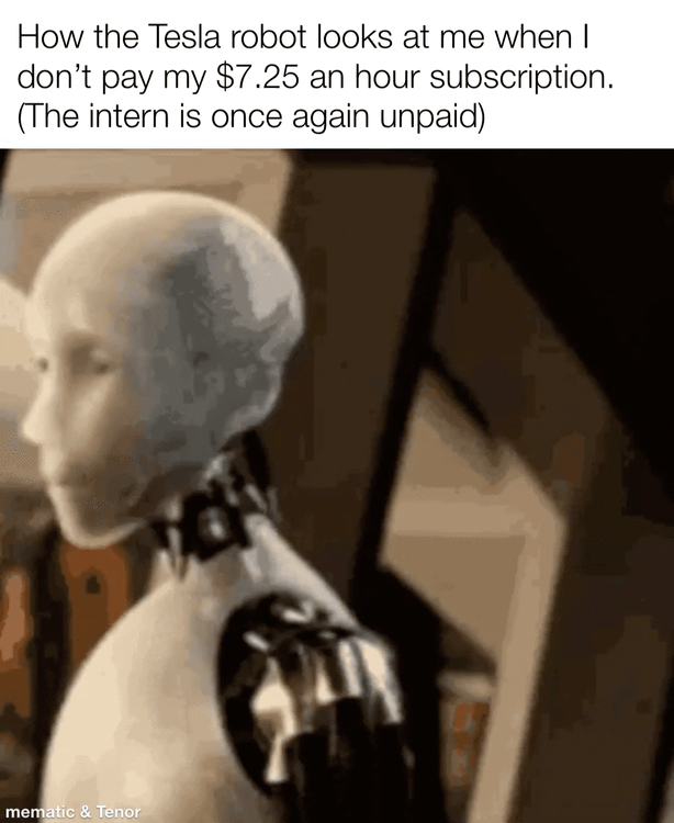 How the Tesla robot looks at me when I don't pay my $7.25 an hour subscription. (The intern is once again unpaid) mematic & Tenor