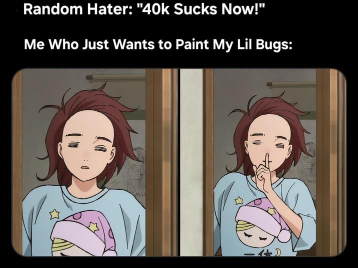 Random Hater: "40k Sucks Now!" Me Who Just Wants to Paint My Lil Bugs: