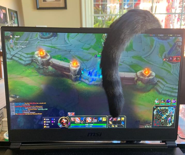 Geoff Roy Kappa 911 /8/2/2 A104 IPS 130 [13.34] Kawaki (Draven) has slain Rait (Elise) for a double kill! 13:41] Ayasa (Olaf) is on the way [1343] LoseNotWin (Tahm Kench) is on a killing spree! [13.52] Kawaki (Draven) signals that enemies are missing 14:10] MarMarsBar (Soraka): Mountain Drake-Spawning in 0.08 14:14 Ayasa (Olaf) is on the way (1444) Ayasa (Olaf) is asking for assistance [14.58] The enemy team has slain the Mountain Drakef 334 5 16339 9% 212 1248/1248 613/623 140 msi 28 15:00