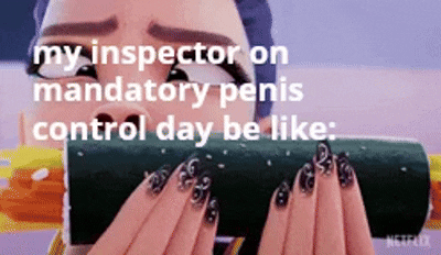 my inspector on mandatory penis control day be like: NETFLIX