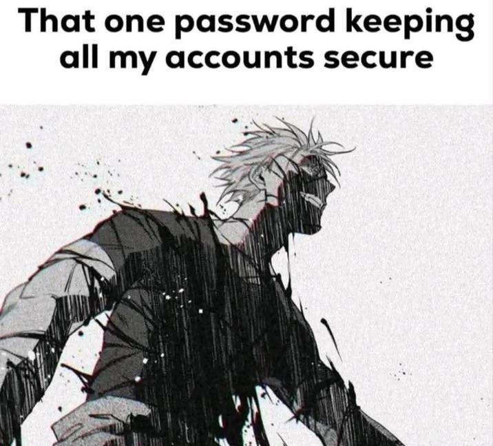 That one password keeping all my accounts secure