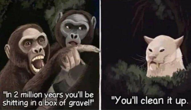 "In 2 million years you'll be s------- in a box of gravel!" "You'll clean it up.