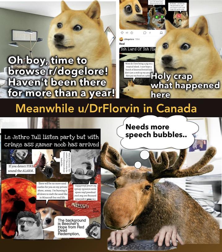 42 pare to be wholesomely SNUGGLED by your gal. Th-thanks... you love me, like genuinely so, and.. your support is all I could. really ever ask for in life. 2 Oh boy, time to browser/dogelore! Haven't been there for more than a year! Real r/dogelore 198d Teh Lurd Of Teh Flie Wow do I love being a pig on a tropical island. I sure hope a bunch of deserted british kids don't jam a stick up my ass a then put my head on a pike. Holy crap what happened here Meanwhile u/DrFlorvin in Canada Le Jethro Tull listen party but with cringe ass gamer noob has arrived Needs more speech bubbles.. If you detect FIRE sound the ALARM. looked like. Roman Colosseum realistic"? This is what the What do you mean, "not always There will be no more sand castles for you on my private shore, sonny. I'm burning it all down to melt the sand like in Minecraft but real life. qind e пер и лош spa e pasoad Buod as a g The background is Beecher's Hope from Red Dead Redemption, I'm Stuffs,