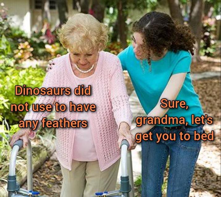 Dinosaurs did not use to have any feathers Sure, grandma, let's get you to bed