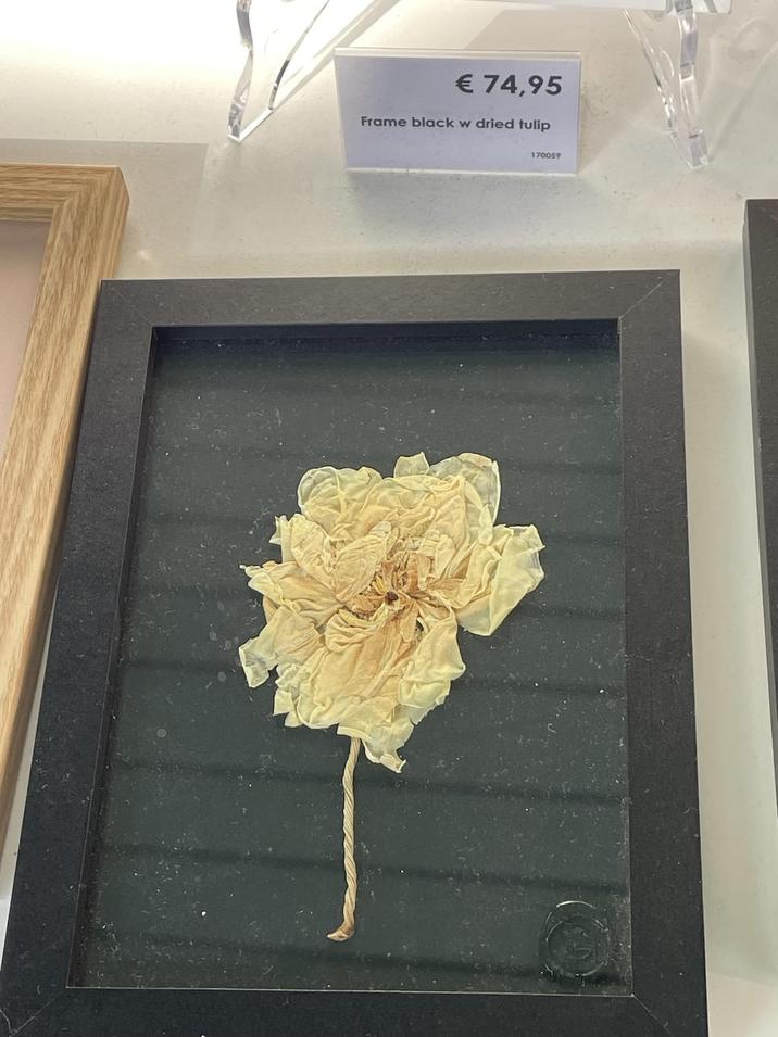 € 74,95 Frame black w dried tulip 170059