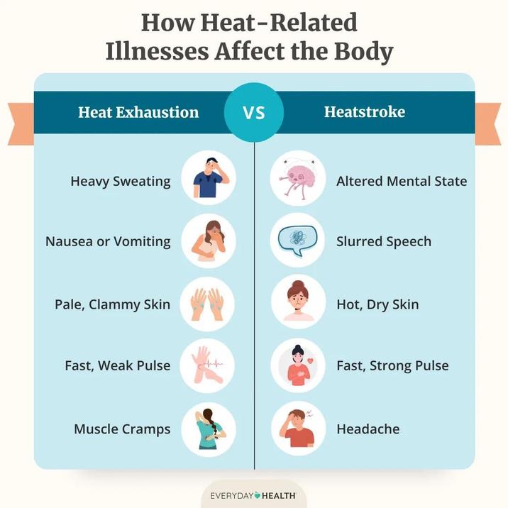 How Heat-Related Illnesses Affect the Body Heat Exhaustion VS Heatstroke Heavy Sweating Nausea or vomiting Altered Mental State Slurred Speech Pale, Clammy Skin Hot, Dry Skin Fast, Weak Pulse Fast, Strong Pulse Muscle Cramps EVERYDAY HEALTH Headache