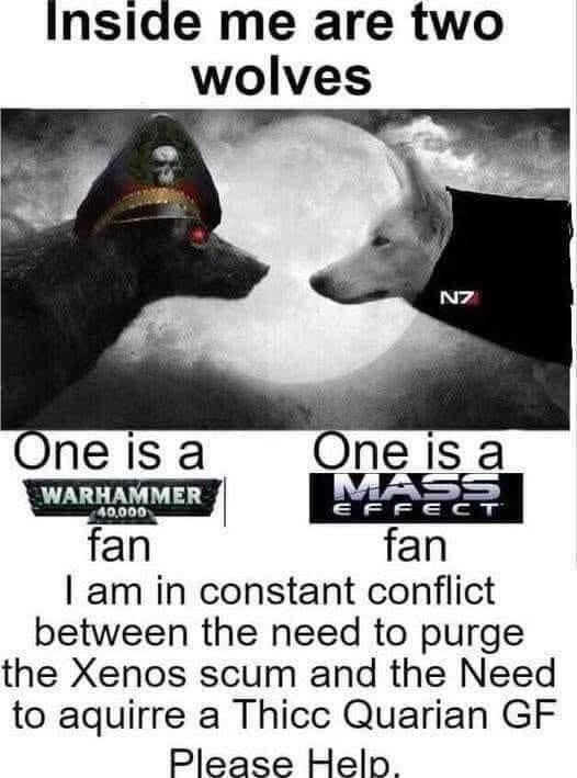 Inside me are two wolves NZ One is a WARHAMMER 40,000 fan One is a MASS EFFECT fan I am in constant conflict between the need to purge the Xenos scum and the Need to aquirre a Thicc Quarian GF Please Help.