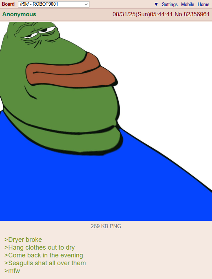 Board /r9k/ - ROBOT9001 Anonymous Settings Mobile Home 08/31/25(Sun)05:44:41 No.82356961 >Dryer broke >Hang clothes out to dry >Come back in the evening >Seagulls shat all over them >mfw 269 KB PNG