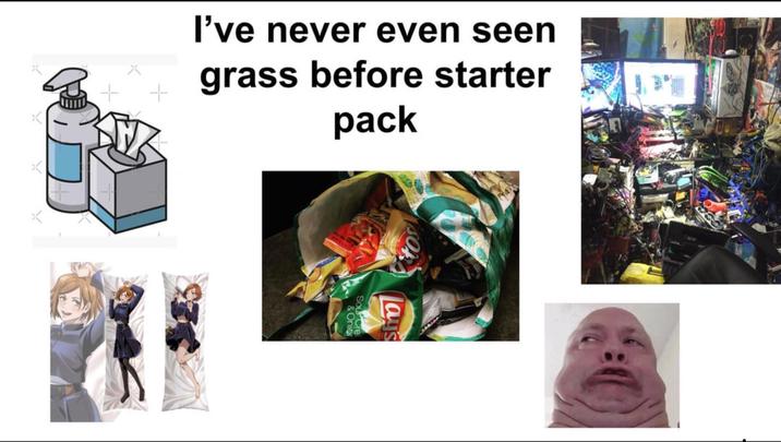 I've never even seen grass before starter pack + ays & Onio Sour Cre