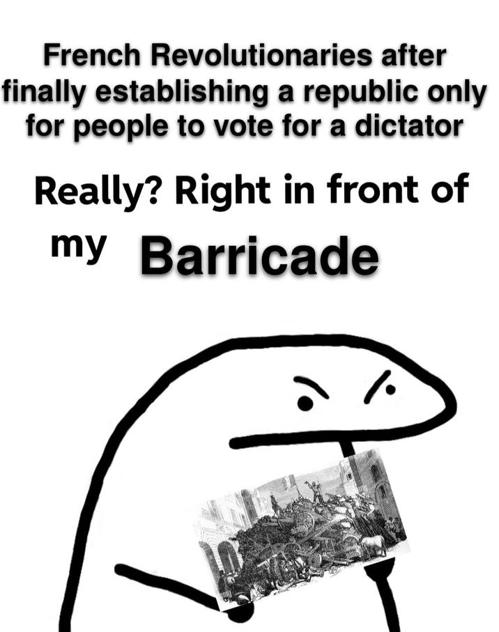 French Revolutionaries after finally establishing a republic only for people to vote for a dictator Really? Right in front of my Barricade