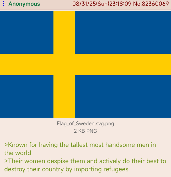 Anonymous 08/31/25(Sun)23:18:09 No.82360069 Flag_of_Sweden.svg.png 2 KB PNG >Known for having the tallest most handsome men in the world >Their women despise them and actively do their best to destroy their country by importing refugees