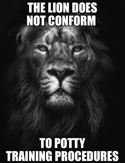 THE LION DOES NOT CONFORM TO POTTY TRAINING PROCEDURES