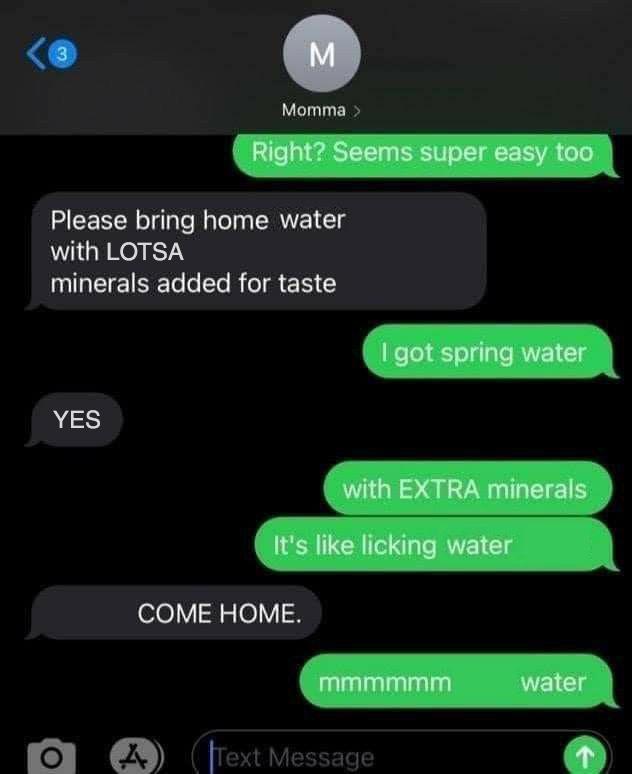 3 Σ Momma > Right? Seems super easy too Please bring home water with LOTSA minerals added for taste YES I got spring water with EXTRA minerals It's like licking water COME HOME. mmmmmm water O A Text Message (↑)
