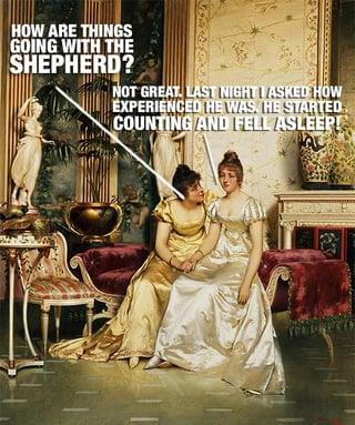 HOW ARE THINGS GOING WITH THE SHEPHERD? NOT GREAT LAST NIGHT I ASKED HOW EXPERIENCED HE WAS. HE STARTED COUNTING AND FELL ASLEEP!