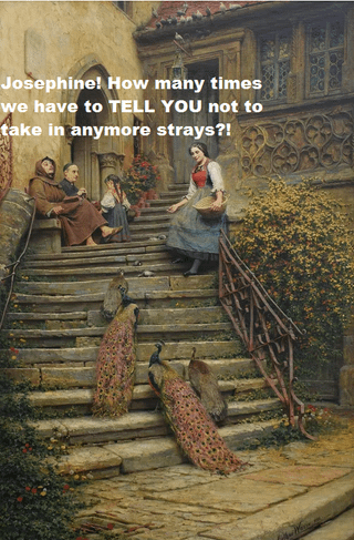 Josephine! How many times we have to TELL YOU not to take in anymore strays?!