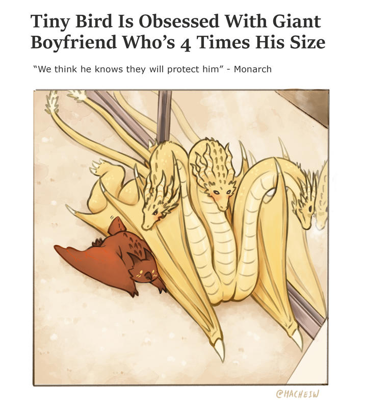 4. Tiny Bird Is Obsessed With Giant Boyfriend Who's 4 Times His Size "We think he knows they will protect him" - Monarch @MACHEIW