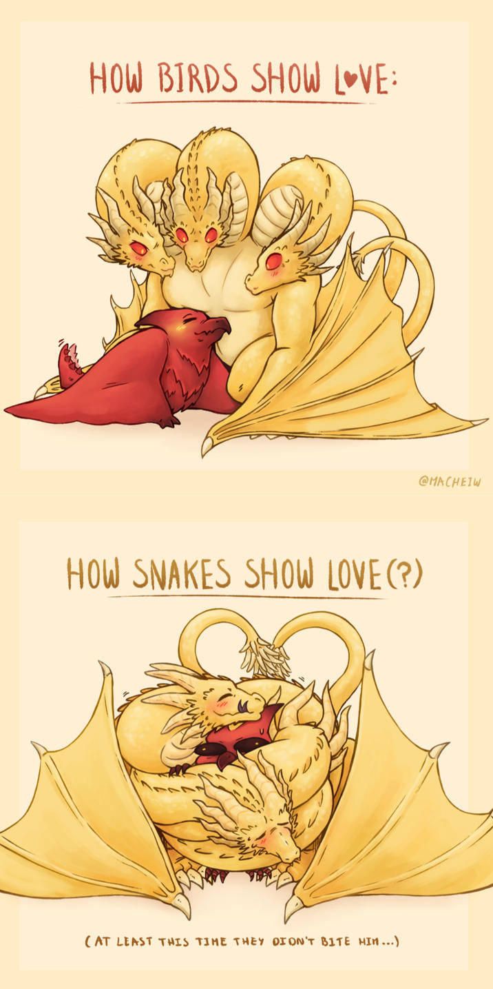 HOW BIRDS SHOW LOVE: HOW SNAKES SHOW LOVE (?) (AT LEAST THIS TIME THEY DIDN'T BITE MIM...) @MACHEIW