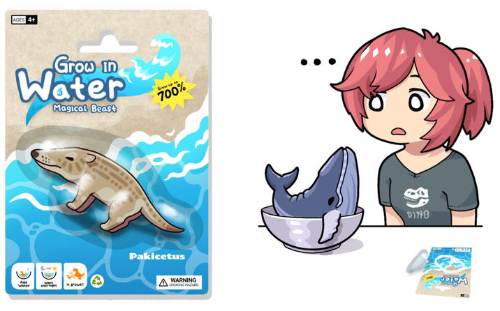 AGES 4+ Grow in Water Magical Beast Grow up to 700% Pakicetus Add Water walt. overnight It grows! A WARNING 68 DING CHOKING HAZARD XOOL 473