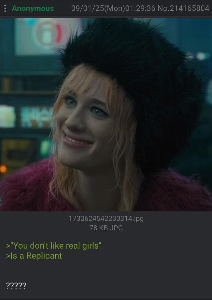Anonymous 09/01/25(Mon)01:29:36 No.214165804 1733624542230314.jpg 78 KB JPG >"You don't like real girls" >Is a Replicant ?????