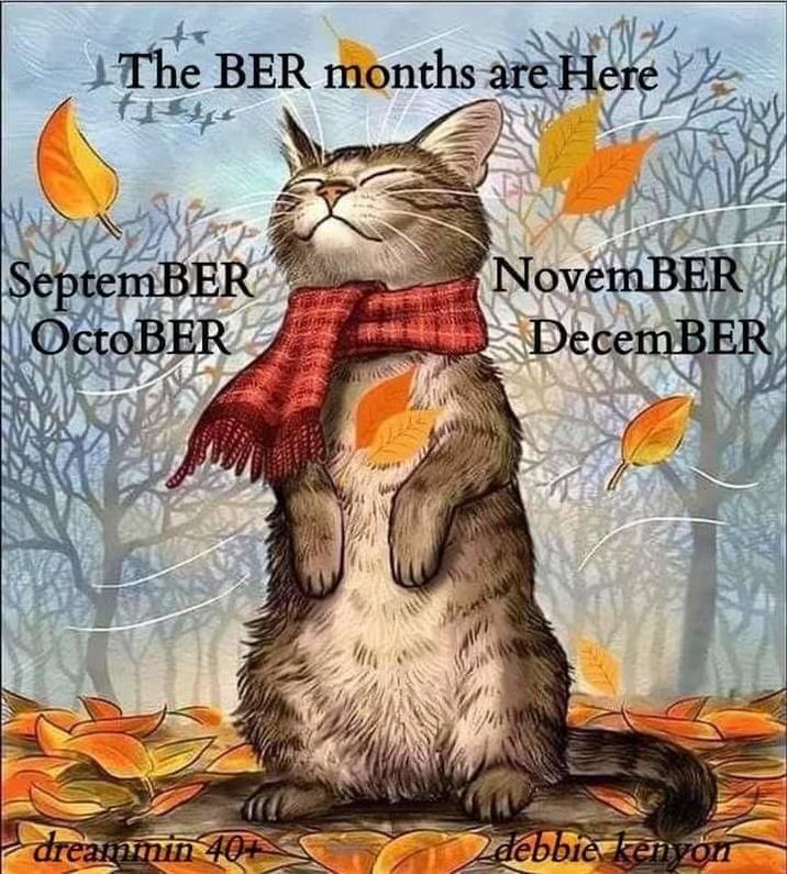 The Ber Months Are Here Cat A meme showing a cat in a scarf celebrating fall. The meme reads "the ber months are here." The art is by Debbie Kenyon.