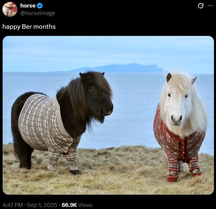 happy ber month horses horse @horseimage happy Ber months Ø ... 4:47 PM · Sep 1, 2025 66.9K Views