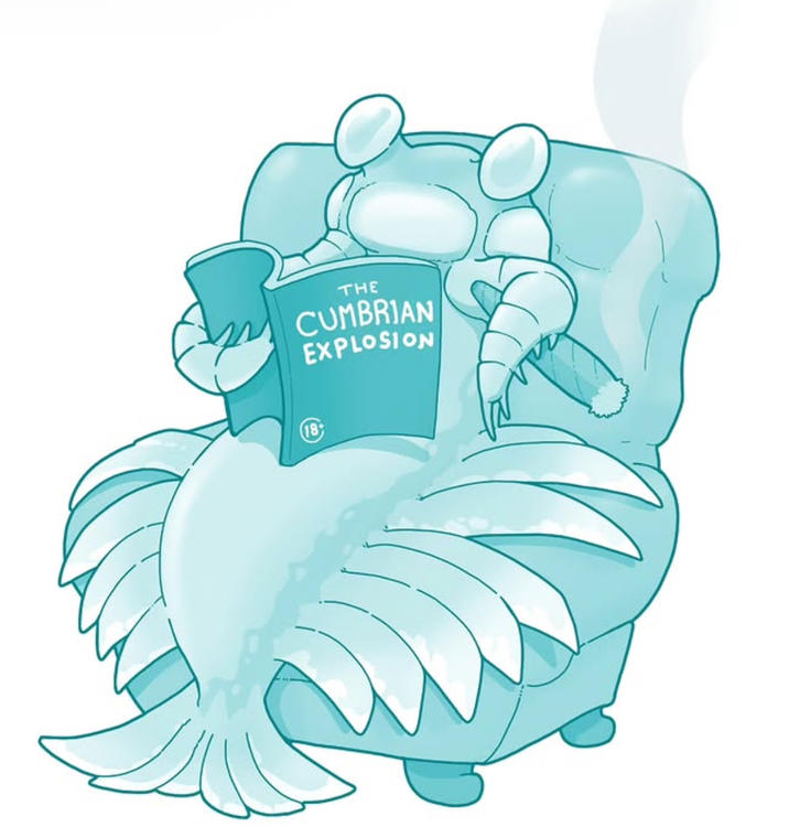 THE CUMBRIAN EXPLOSION