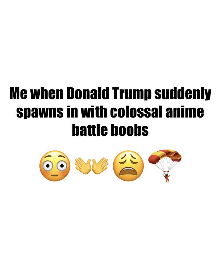 Me when Donald Trump suddenly spawns in with colossal anime battle boobs