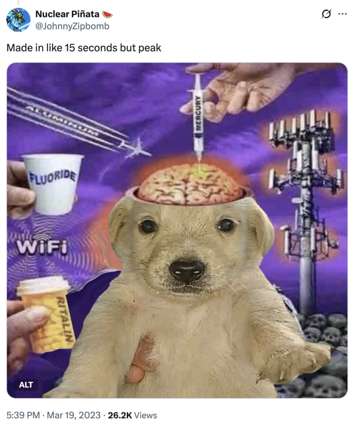 The original "tweet":https://knowyourmeme.com/memes/sites/twitter-x containing the Brainwashed Jotchua artwork, which edited the David Dees of a boy being exposed to mercury, 5G waves, WiFi, fluoride, Ritalin and other substances linked to "conspiracy theories":https://knowyourmeme.com/memes/cultures/conspiracy-theories.