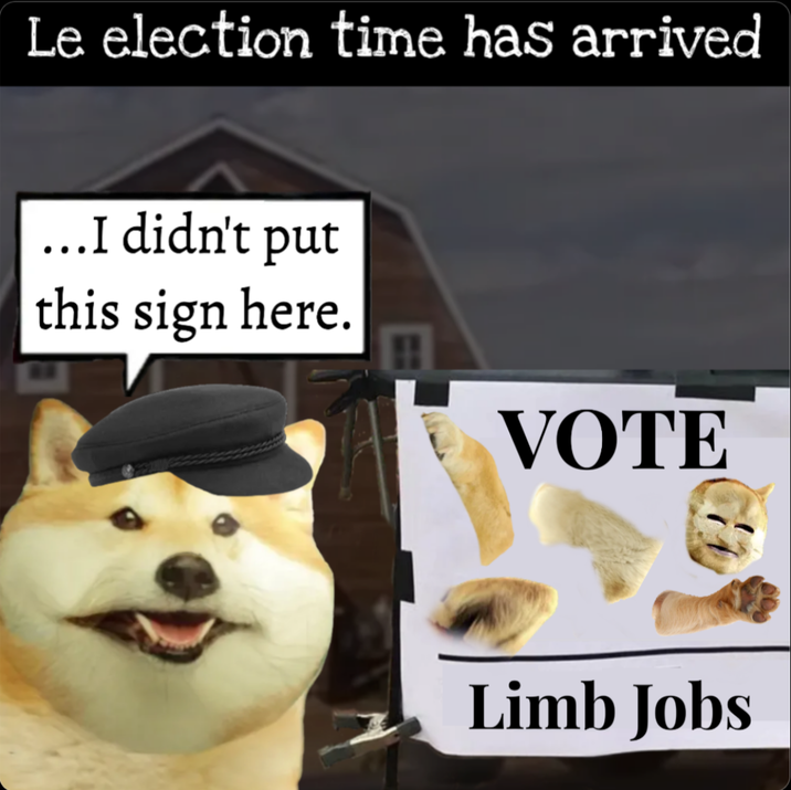 Le election time has arrived ...I didn't put this sign here. B VOTE Limb Jobs