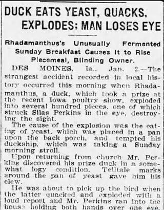 DUCK EATS YEAST, QUACKS, EXPLODES: MAN LOSES EYE Rhadamanthus's Unusually Fermented Sunday Breakfast Causes It to Rise Plecemeal, Blinding Owner. DES MOINES, Ta.. Jan. 2.-The strangest accident recorded in local his- 1 tory occurred this morning when Rhada- manthus, a duck, which took a prize at the recent Iowa poultry show, exploded into several hundred pieces, one of which struck Silas Perkins in the eye, destroy- ing the sight. The cause of the explosion was the cat- ing of yeast. which was placed in a pan upon the back porch, and tempted his duckship, which was taking a Sunday morning stroll. Upon returning from church Mr. Per- king discovered his prize duck in a some- what logy condition. Telltale marks | around the pan of yeast gave him his clew. He was about to pick up the bird when the latter quacked and exploded with a loud report and Mr. Perkins ran into the house holding both hands over one eve