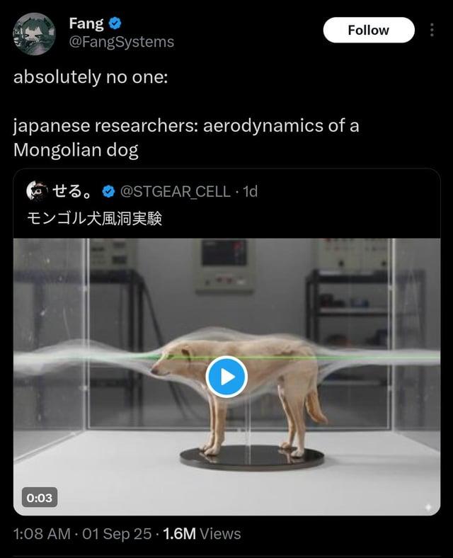 Fang @FangSystems absolutely no one: Follow japanese researchers: aerodynamics of a Mongolian dog t3. @STGEAR CELL 1d せる。 + モンゴル犬風洞実験 0:03 1:08 AM - 01 Sep 25 1.6M Views