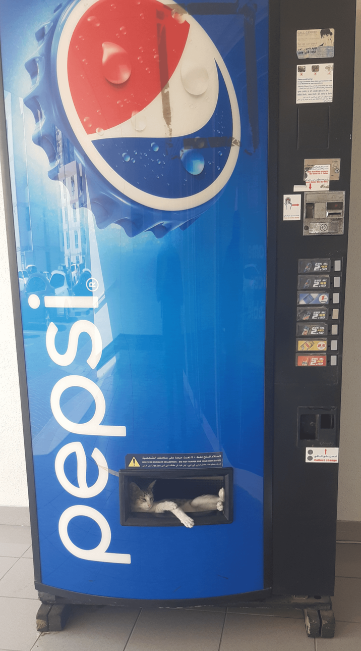 pepsi Ο حصل على الباقي استلام المنتج فقط - لا تعبث حرصا على سلامتك الشخصية