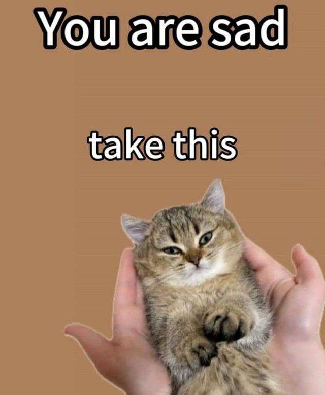 You are sad take this