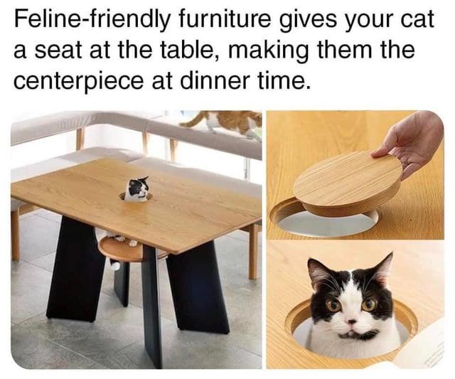 Feline-friendly furniture gives your cat a seat at the table, making them the centerpiece at dinner time.