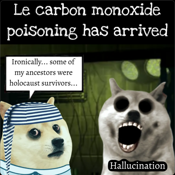 Le carbon monoxide poisoning has arrived Ironically... some of my ancestors were holocaust survivors... Hallucination