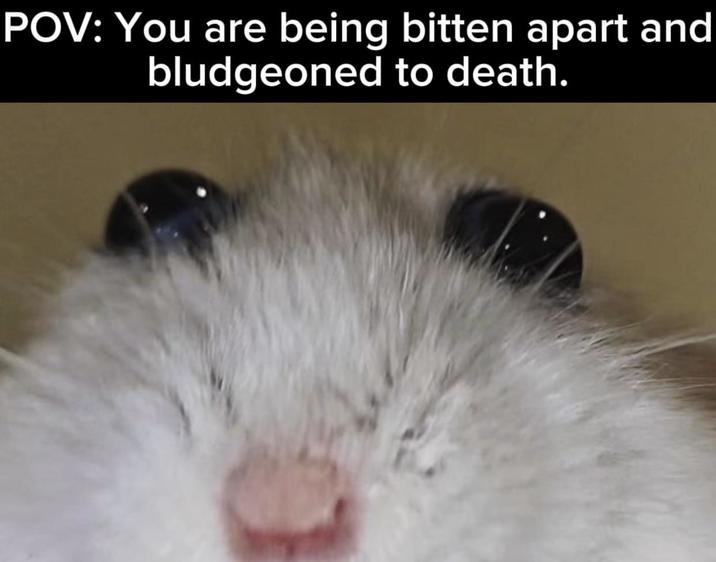 POV: You are being bitten apart and bludgeoned to death.