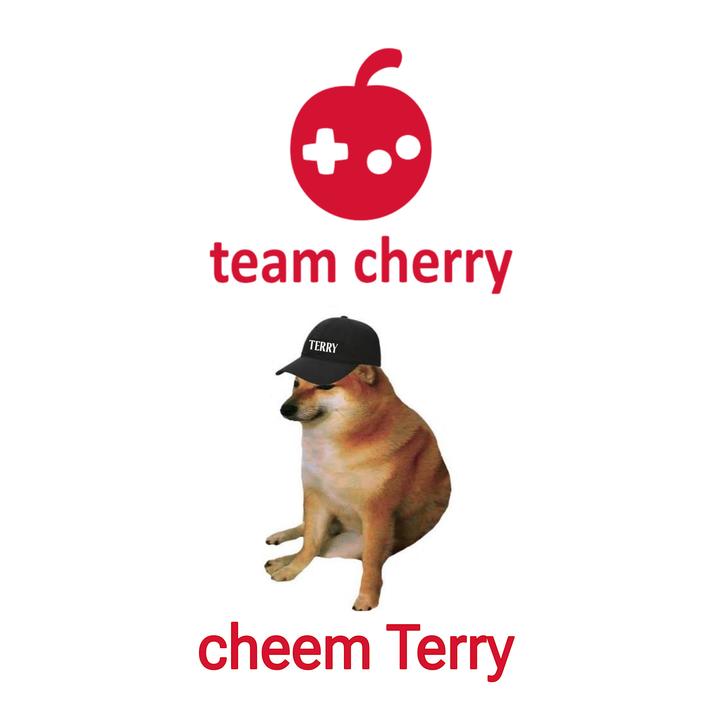 team cherry TERRY cheem Terry