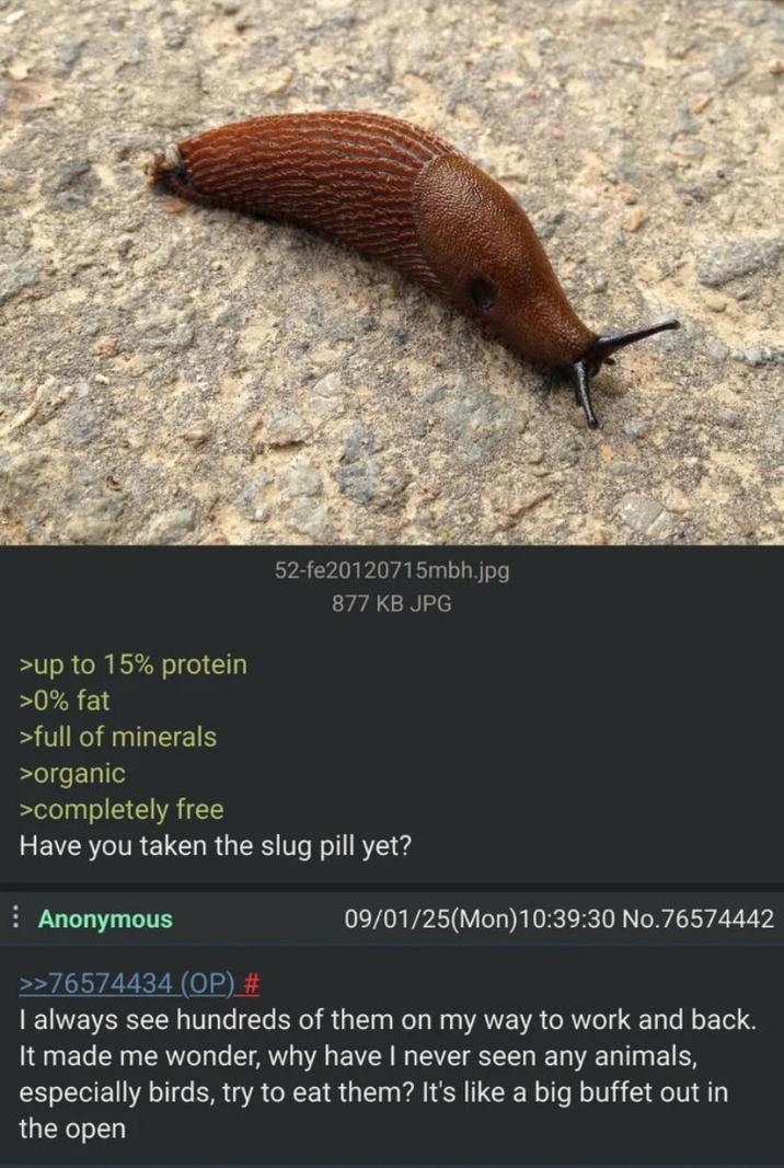 >up to 15% protein >0% fat >full of minerals >organic >completely free 52-fe20120715mbh.jpg 877 KB JPG Have you taken the slug pill yet? Anonymous >>76574434 (OP) # 09/01/25(Mon) 10:39:30 No.76574442 I always see hundreds of them on my way to work and back. It made me wonder, why have I never seen any animals, especially birds, try to eat them? It's like a big buffet out in the open