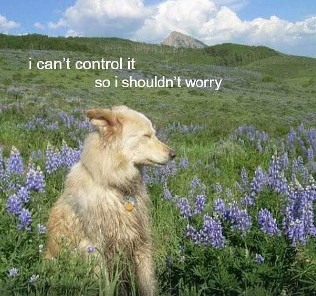 i can't control it so i shouldn't worry
