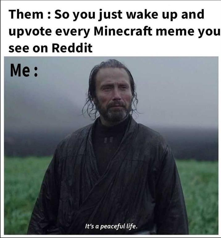 A version of the "peaceful life" meme. The meme is about upvoting Minecraft memes.